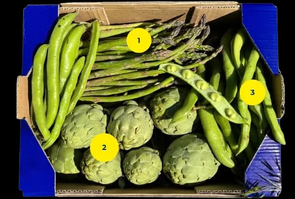 Caja de regalo llena de productos frescos y saludables