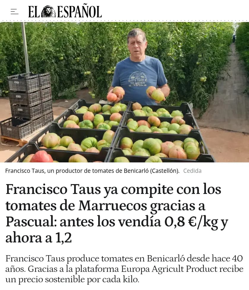 Francisco Taus ya compite con los tomates de Marruecos gracias a Pascual: antes los vendía 0,8 €/kg y ahora a 1,2